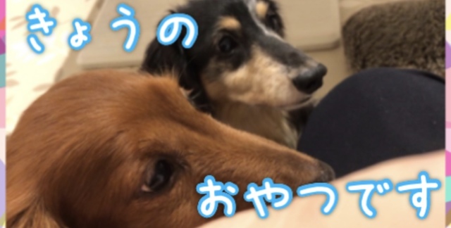 19157E2F-CB14-4C11-801B-A6F4D412F7CA.jpeg